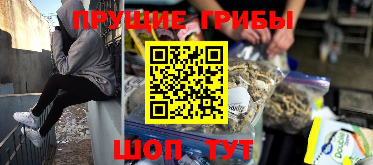 Крымск  Галлюциногенные грибы Magic Shrooms  Вход с VPN 